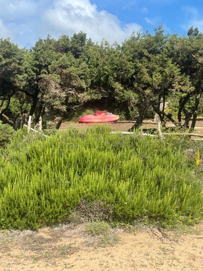 Meridium Formentera By Tentol Hotels Playa Migjorn Exterior photo